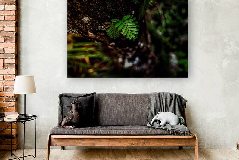 Solitary Spirit: Fern’s Embrace by Dream World Images