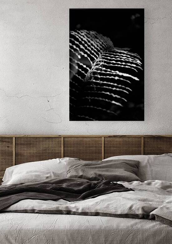 The Fern’s Quiet Frequency by Dream World Images