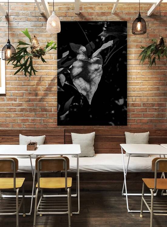 The Light That Finds Leaves by Dream World Images