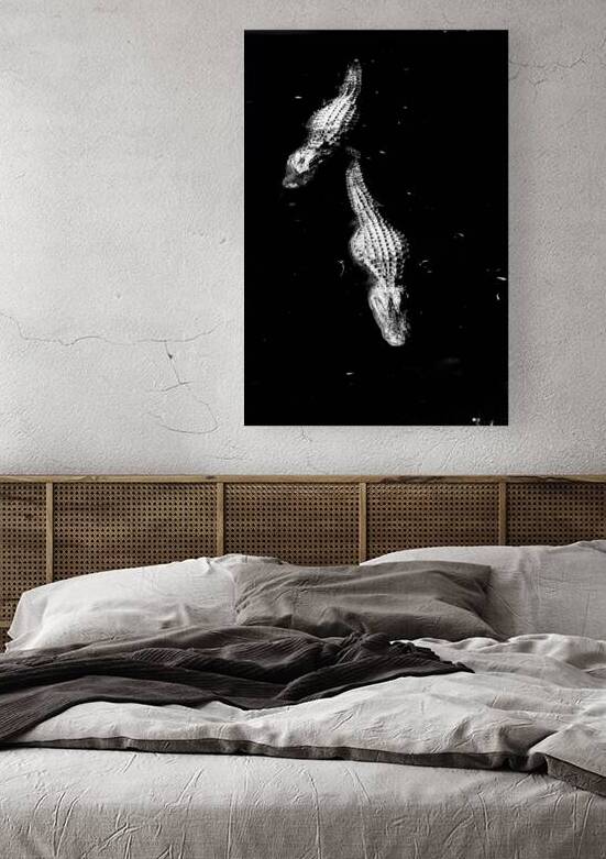 Two Shadows One Current by Dream World Images