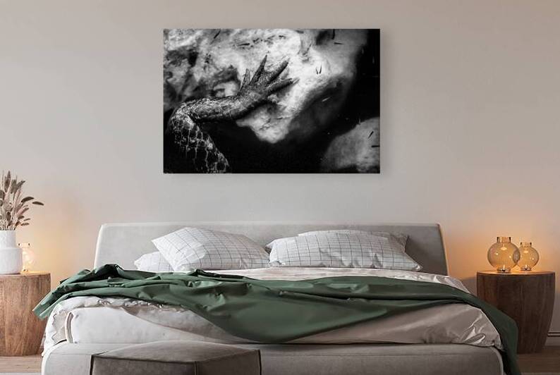 The Hand of the River by Dream World Images