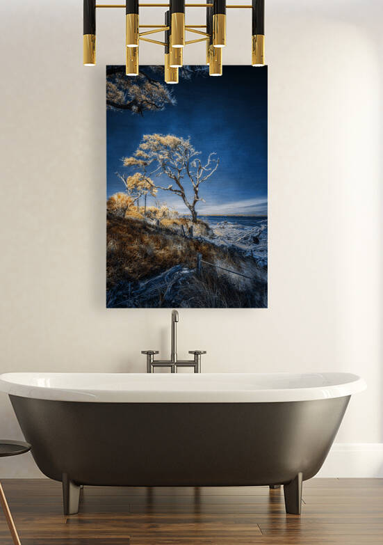 Blue Bonsai: A Botanical Marvel Unveiled on Driftwood Beach by Dream World Images