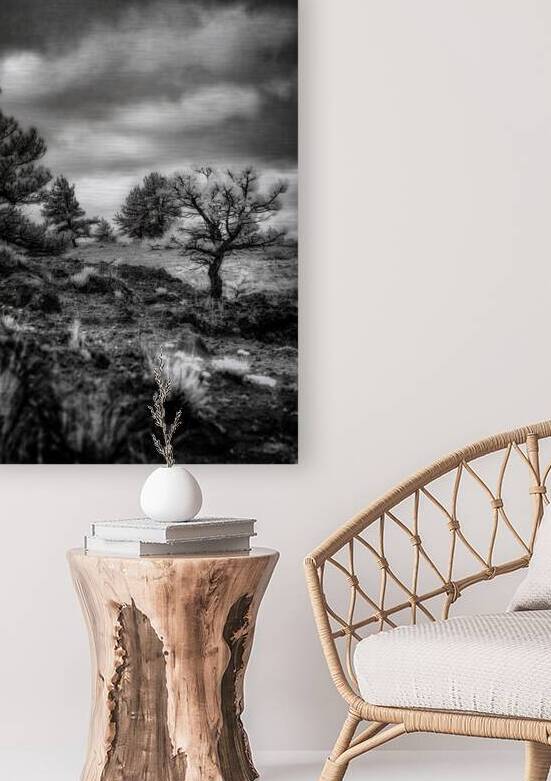 Solitude Unveiled: A Mystical Wyoming Lone Tree at Guernsey State Park by Dream World Images