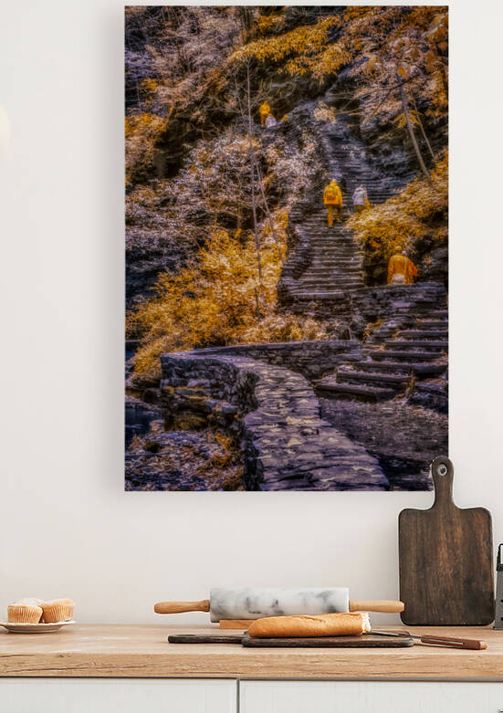Golden Steps Ascent: A Color Infrared Symphony in Watkins Glen State Park by Dream World Images