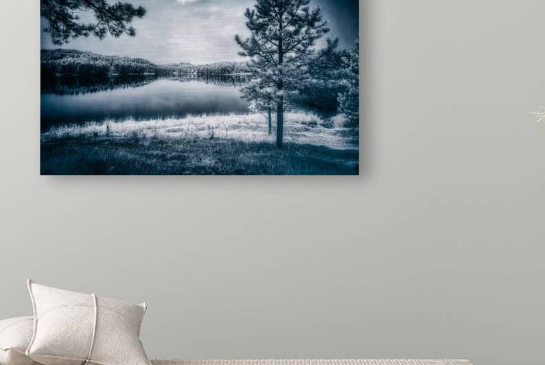 Whispers of Enchantment: The Pine Tree Guardian of the Lakes Edge by Dream World Images