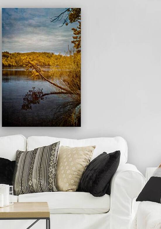 Shadows and Reflections: Overhanging Trees on Center Lake by Dream World Images