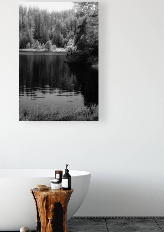 Enchanting Haze: Hazy Pines in Infrared at Sylvan Lake South Dakota by Dream World Images