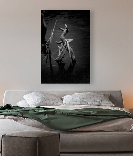 Sylvans Skeleton Waltz by Dream World Images