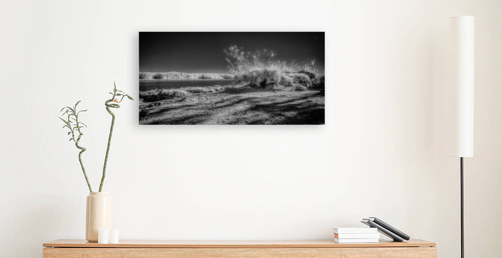 Ethereal Odyssey: Another World at Wind Creek State Park Alabama by Dream World Images