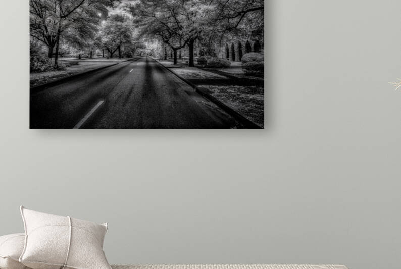Eufaula Elegance: A Monochromatic Journey Through Time by Dream World Images