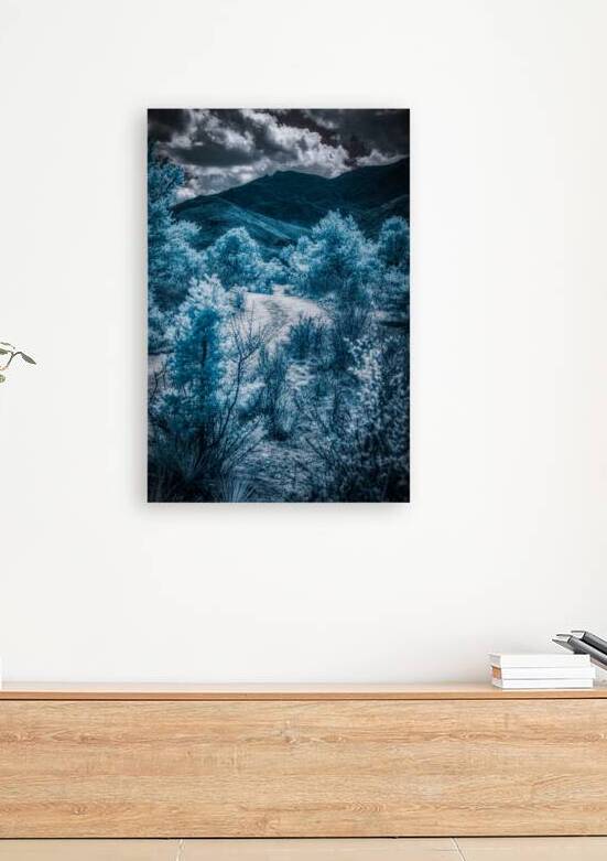 A Majestic Blue Mountain Journey in Colorado Springs by Dream World Images