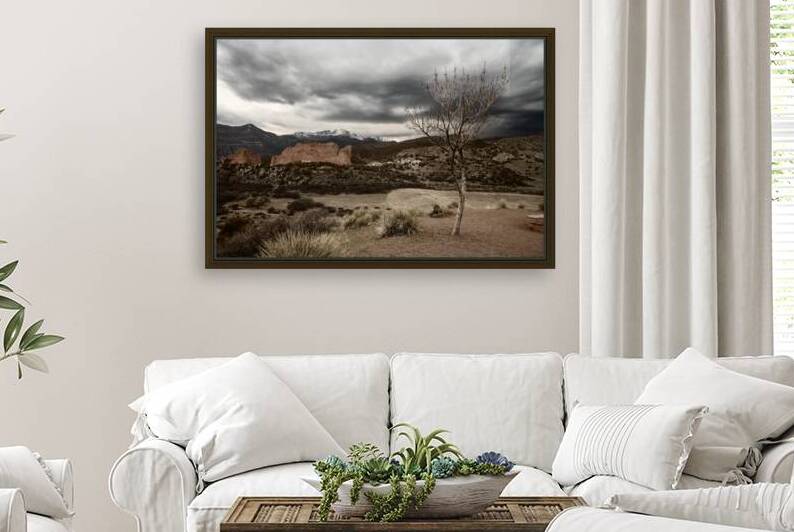 Lonely Mountain Tree by Dream World Images