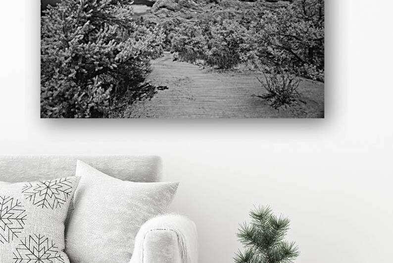 Garden Path - 2 by Dream World Images