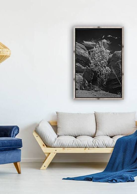 Rock Tree by Dream World Images