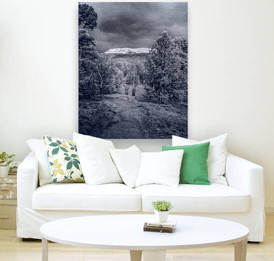 Mueller Aspen Series: Mountain Trail Tranquility by Dream World Images