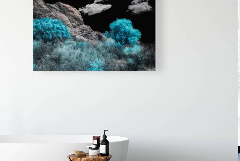 Majestic Rock Wall: Exploring Garden of the Gods Blue Mountain Trees by Dream World Images