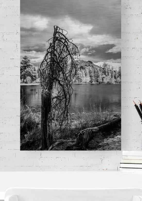 Mountain Lake Dead Tree by Dream World Images