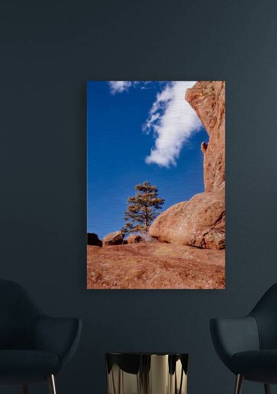 Peace by Dream World Images