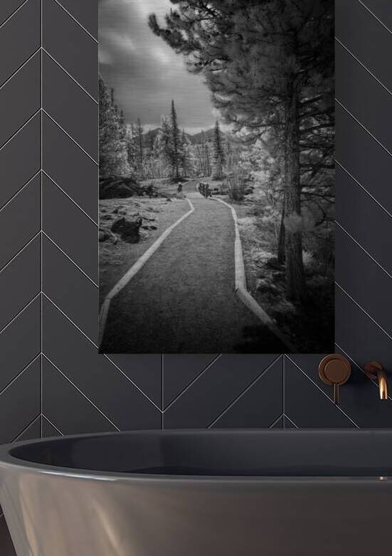 Sprague Lake Path by Dream World Images