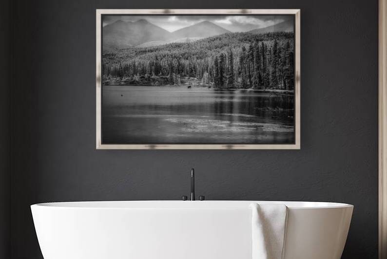 Wilderness Elegance: Moose in Rocky Mountain Park by Dream World Images