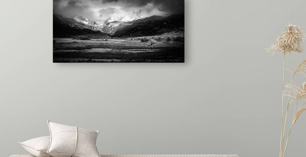 Mountains Embrace: Lone Valley Tree by Dream World Images