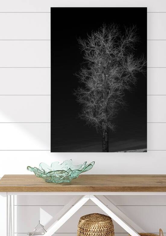 Winters Neural Network by Dream World Images