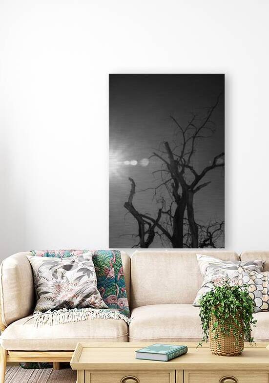 Luminous Legacy by Dream World Images