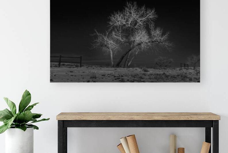 Mile-High Luminescence by Dream World Images