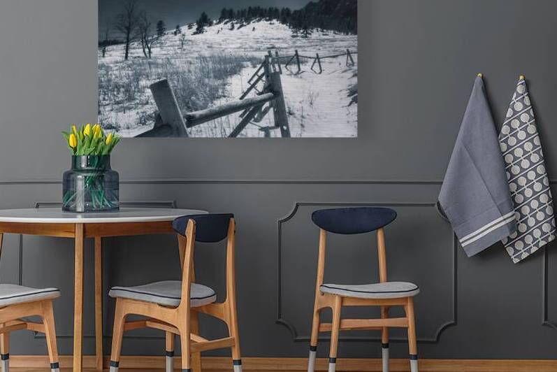 Chautauqua Chronicles: Fence in Winter by Dream World Images