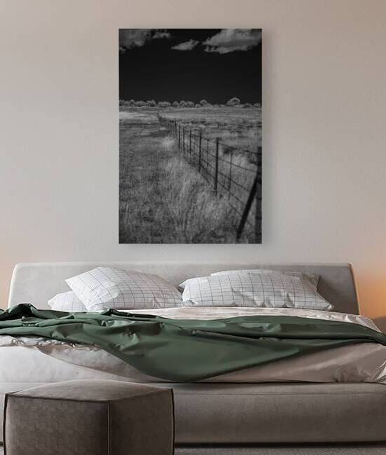 Fenceline Whisper in Monochrome by Dream World Images