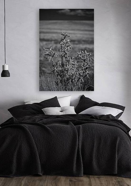 Solitude of Spine by Dream World Images