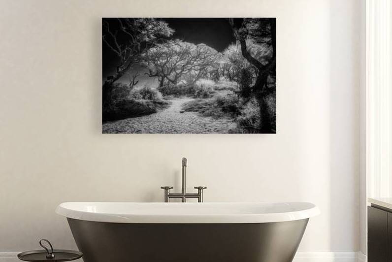 Island Path by Dream World Images