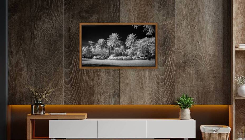 Saint Marys Park by Dream World Images