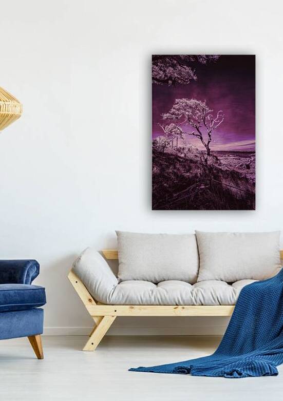 Purple Bonsai:A Botanical Marvel Unveiled on Driftwood Beach by Dream World Images