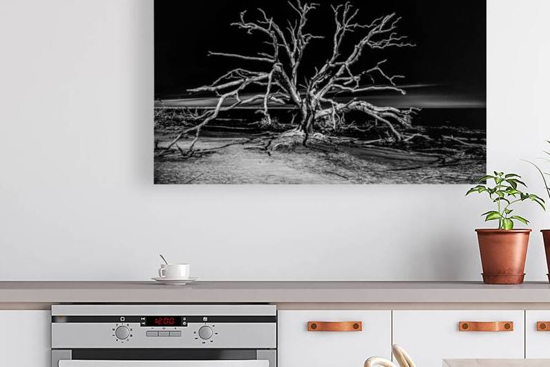 Ghost Dancer by Dream World Images