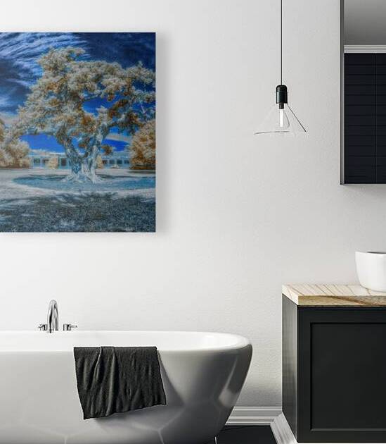 Casino Oak by Dream World Images