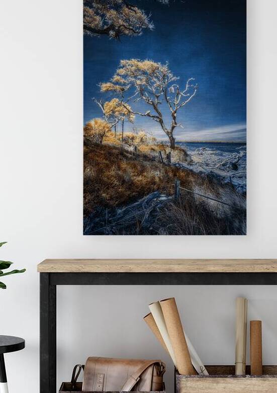 Blue Bonsai: A Botanical Marvel Unveiled on Driftwood Beach by Dream World Images