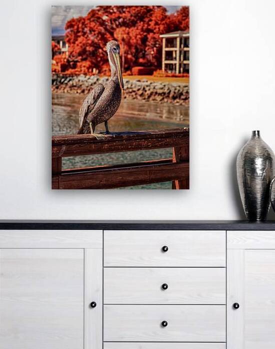 Pier Perch: A Quest for the Majestic Pelican at Saint Simons Island Georgia by Dream World Images
