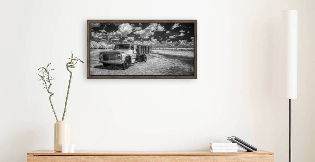 Vineyard Harmony: A Southern Georgia Winery Adventure by Dream World Images