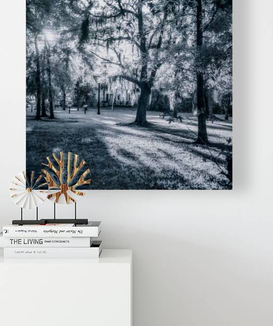 Cold Park by Dream World Images