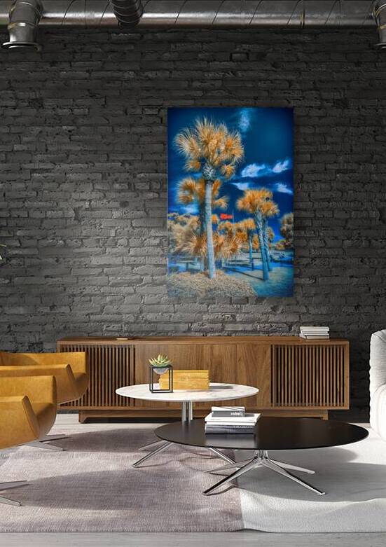 Neptune Park Oasis: A Pictorial Tale of Saint Simons Island Bliss by Dream World Images