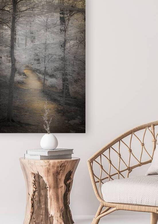 Stroll into Woodland Serenity by Dream World Images