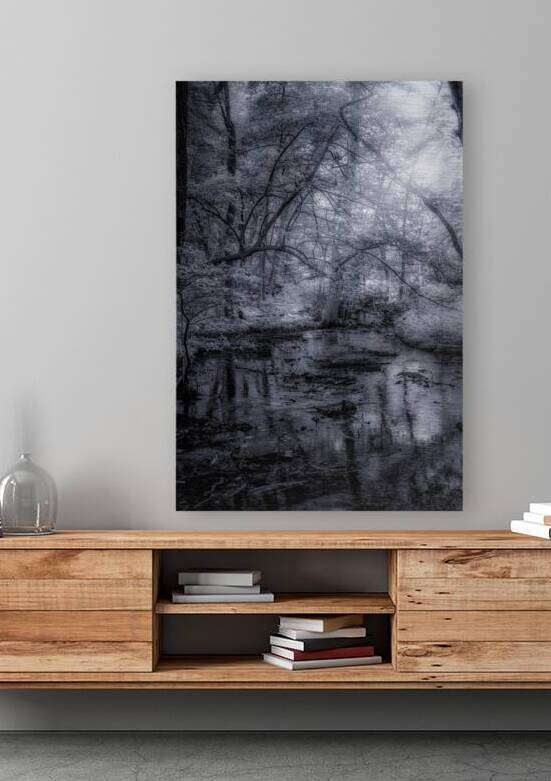 Mystical Reverie: Infrared Wonders of Abbotts Mills Swamp Vista by Dream World Images