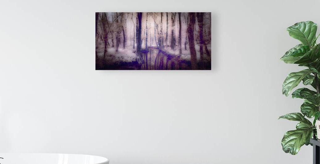 Swampland by Dream World Images