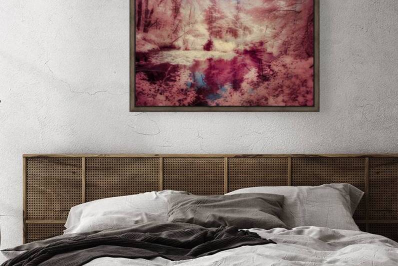 Pink Swamp by Dream World Images