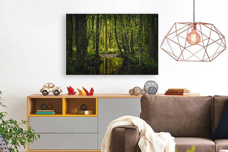 Swampish by Dream World Images