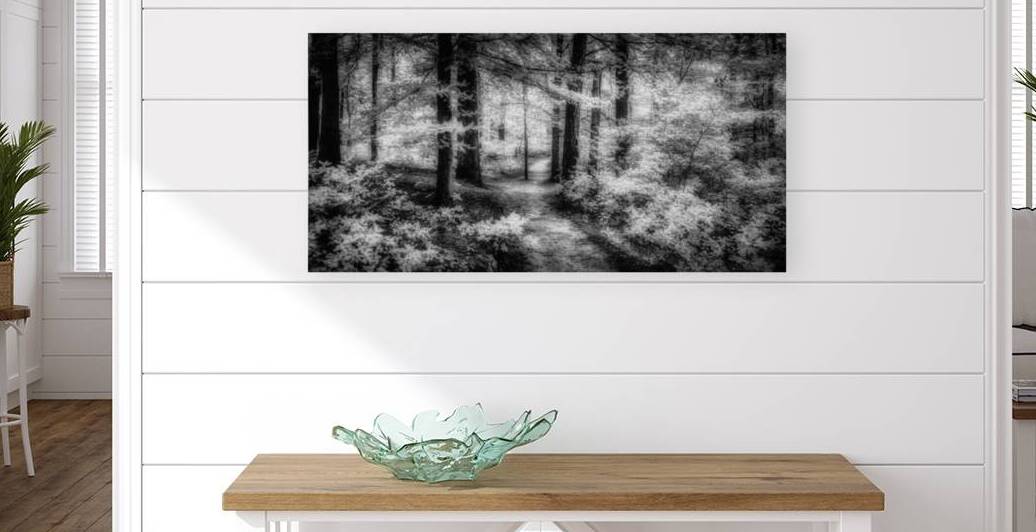 Killens Path: Serene Infrared Passage by Dream World Images