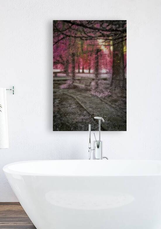 Echoes of Time: Infrared Memories by Dream World Images