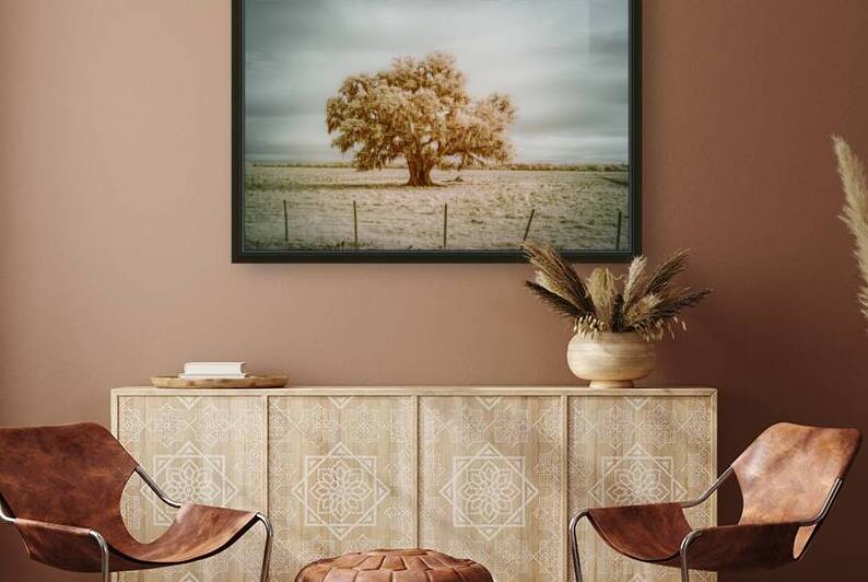 St Bernards Oak by Dream World Images