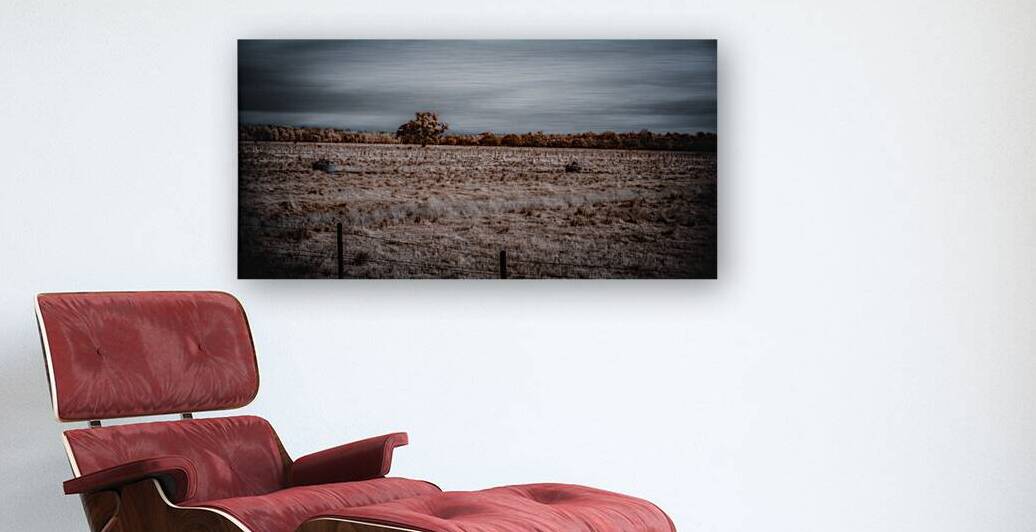 Lone Tree in Saint Bernards-3 by Dream World Images